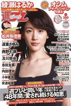 承欢记电视剧