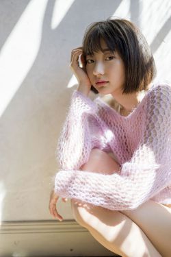 青瓷电视剧剧情介绍